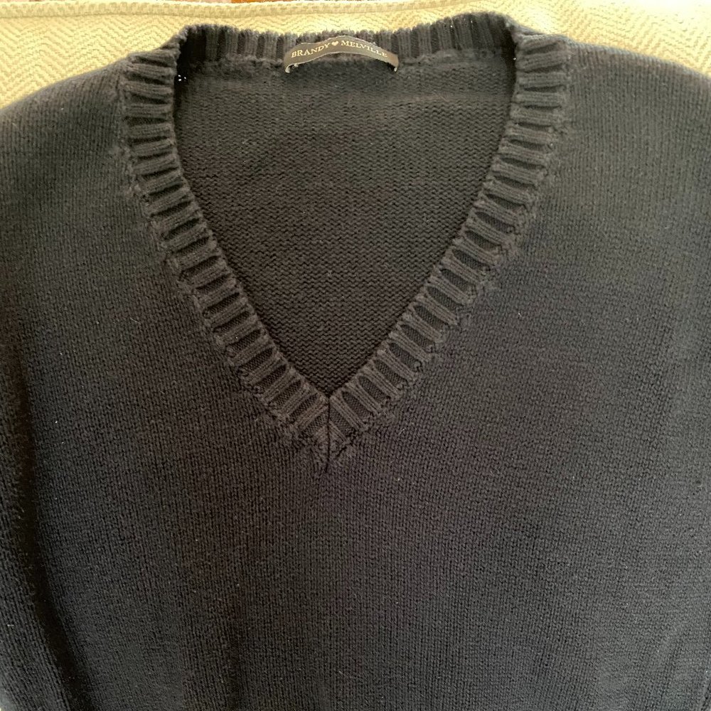 Brandy Melville Navy V Neck Sweater